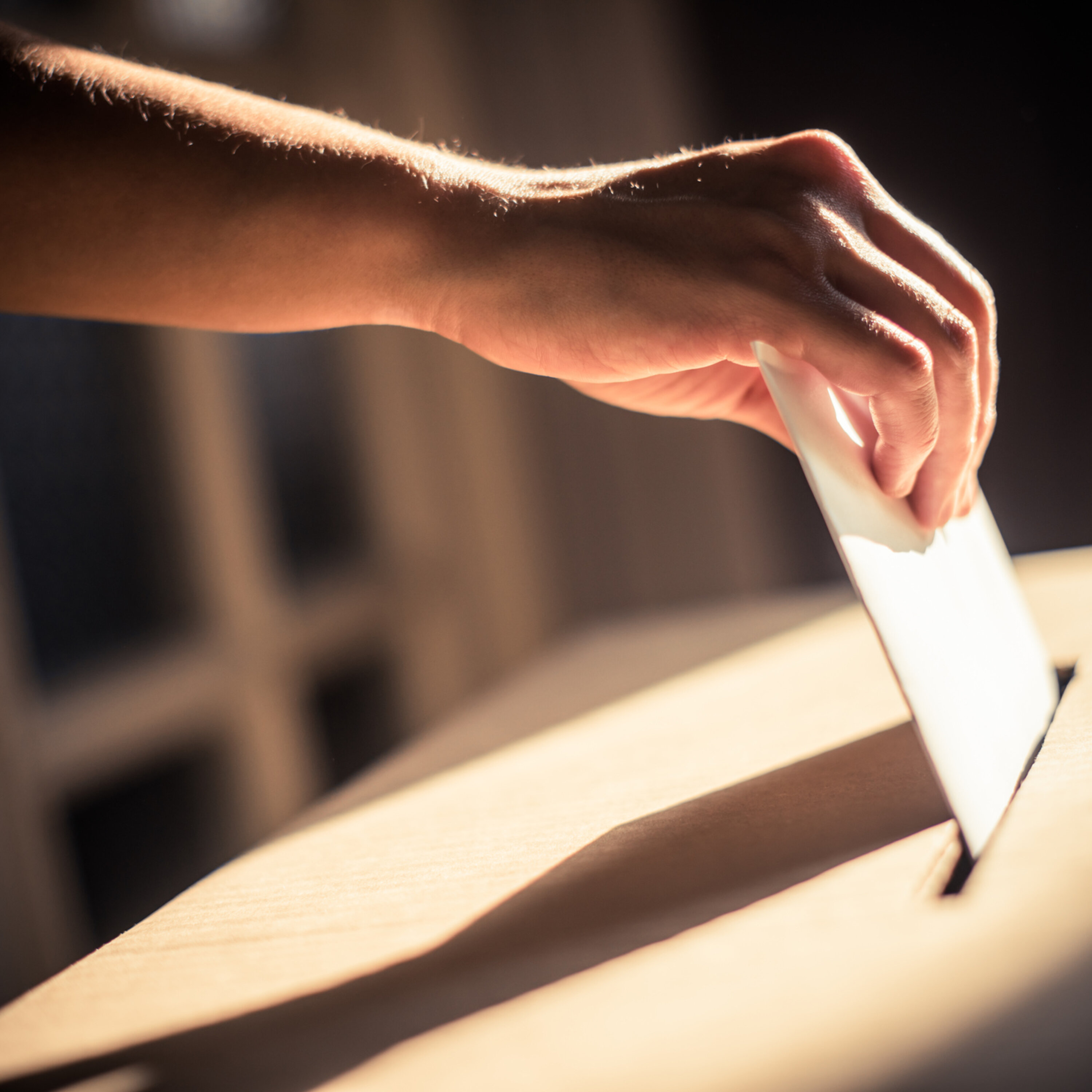 Law & Legal: Let's Talk Voting Day!