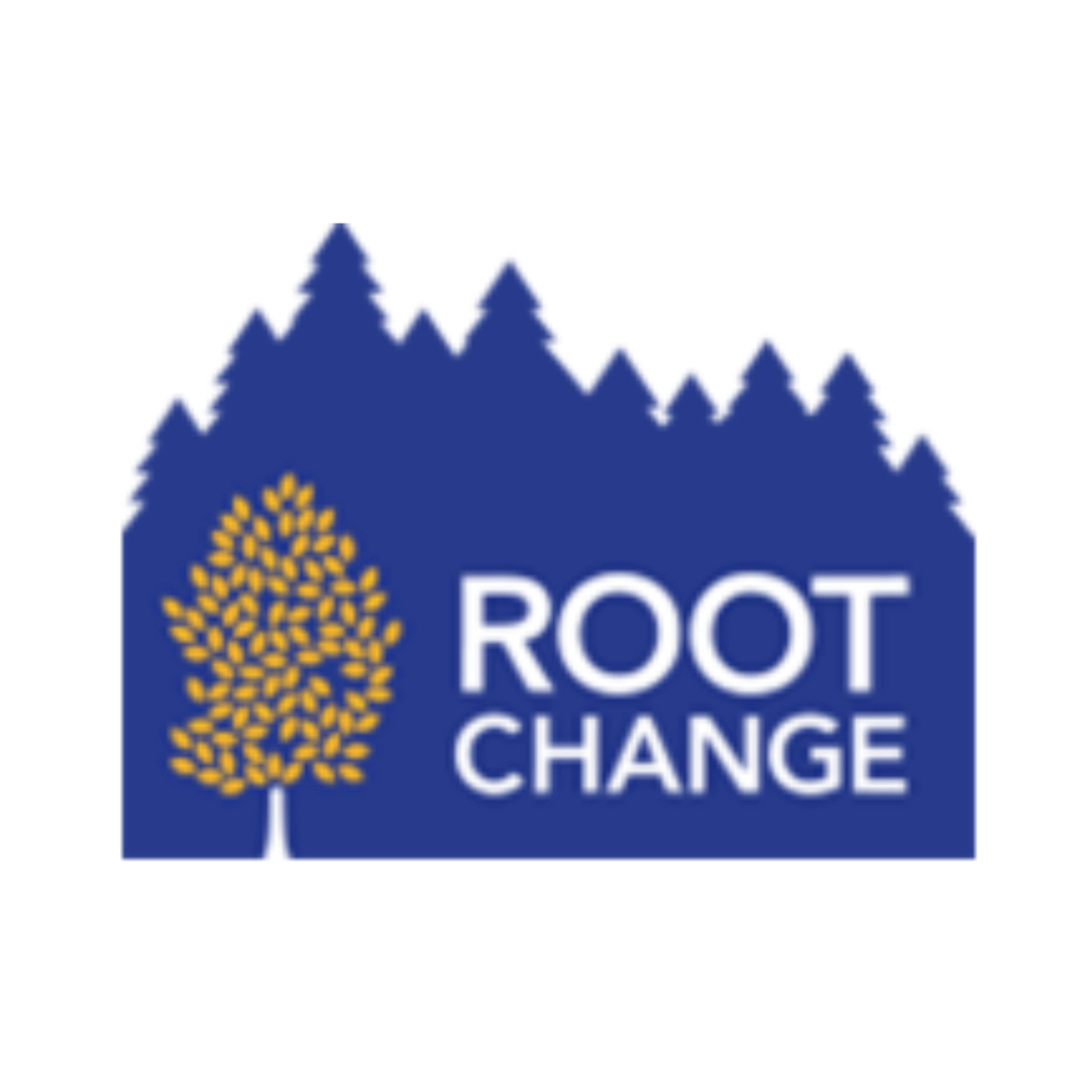 Building Bridges and Reducing Polarization: The Georgia Community Resilience Hub