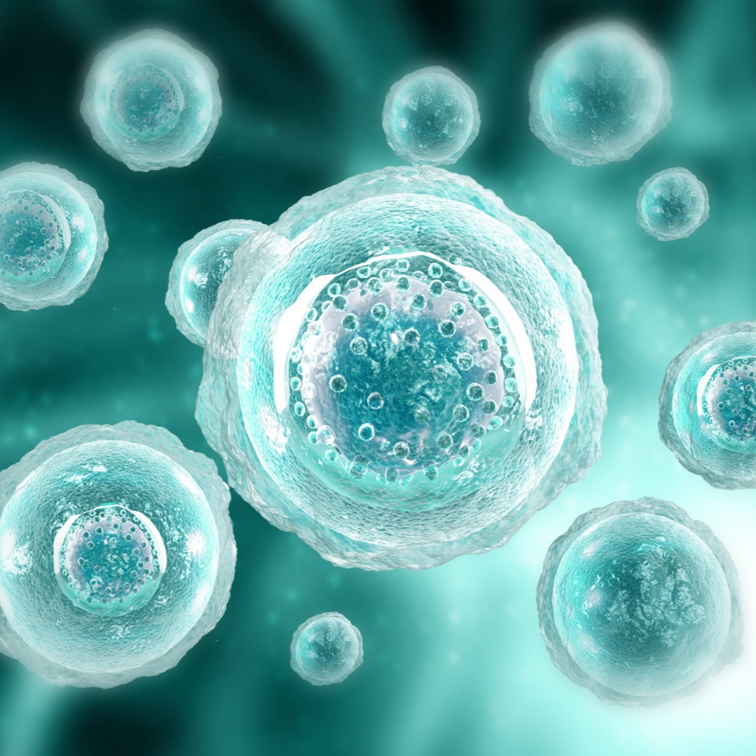 "Debunking Myths: The Truth About Withholding Ejaculation and Prostate Health