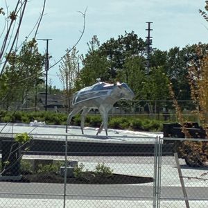 Bills fans checking out the new Highmark Stadium and the beginning of the installation of the Buffalos statue