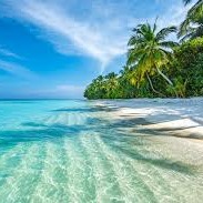 WBBM Noon Business Hour - Vacation Oversharing Risks
