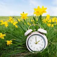 Jobs - Fry the Coop & Daylight Saving Time