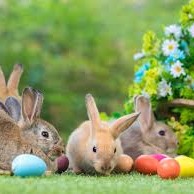 Week Ahead - Pokemon & Easter Toys