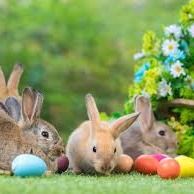 Week Ahead - Pokemon & Easter Toys