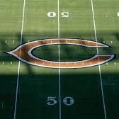 Bears - Spirit Airlines & Meta AI Parental Control