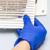 WBBM Noon Business Hour - Spring DIY