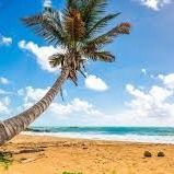 Housing - Fast Food & Vacations