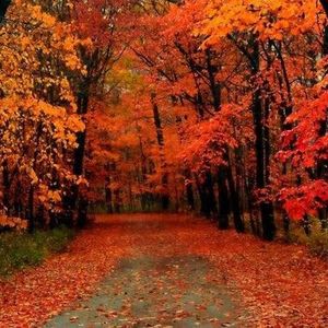 WBBM Noon Business Hour - Fall Getaways