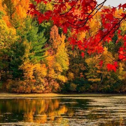 Kids Credit - Age in Place & Fall Getaways