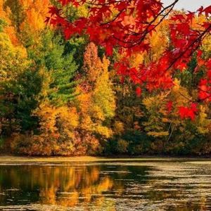 Kids Credit - Age in Place & Fall Getaways