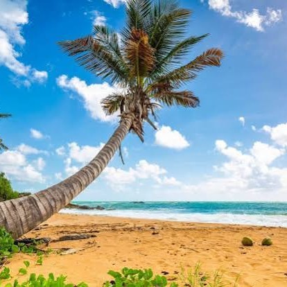 Airlines - Iced Coffee & Holidays at the Beach