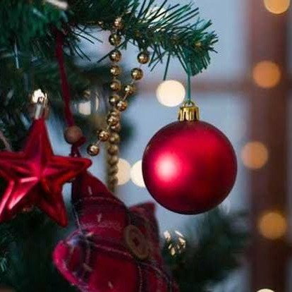 WBBM Noon Business Hour - Light Up Your Holidays