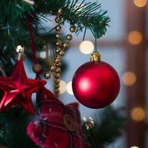 WBBM Noon Business Hour - Light Up Your Holidays