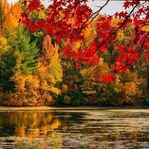 Fall Money Reset - Tech Vulnerabilities & Sleepcations