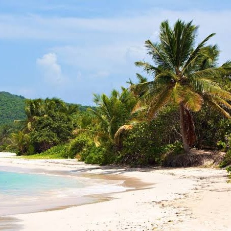 WBBM Noon Business Hour - Island Destinations: No Passport Required