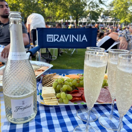 Ravinia Festival unveils 2026 summer lineup
