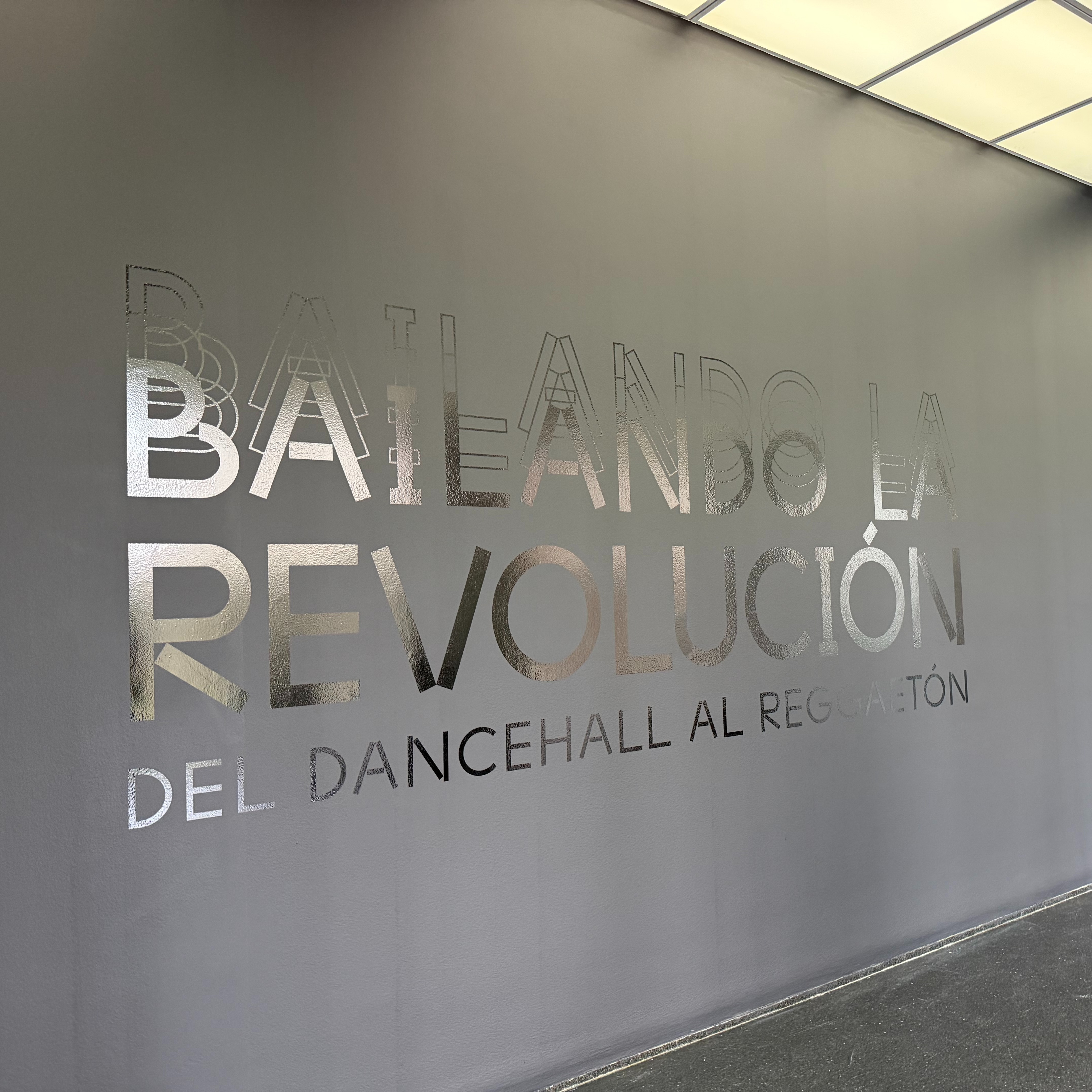 New exhibit at Museum of Contemporary Art explores reggaetón and dancehall as forms of protest