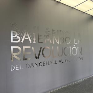 New exhibit at Museum of Contemporary Art explores reggaetón and dancehall as forms of protest