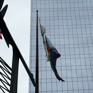 Chicago, Cook County leaders kick off Pride Month with annual raising of Progress Pride Flag downtown