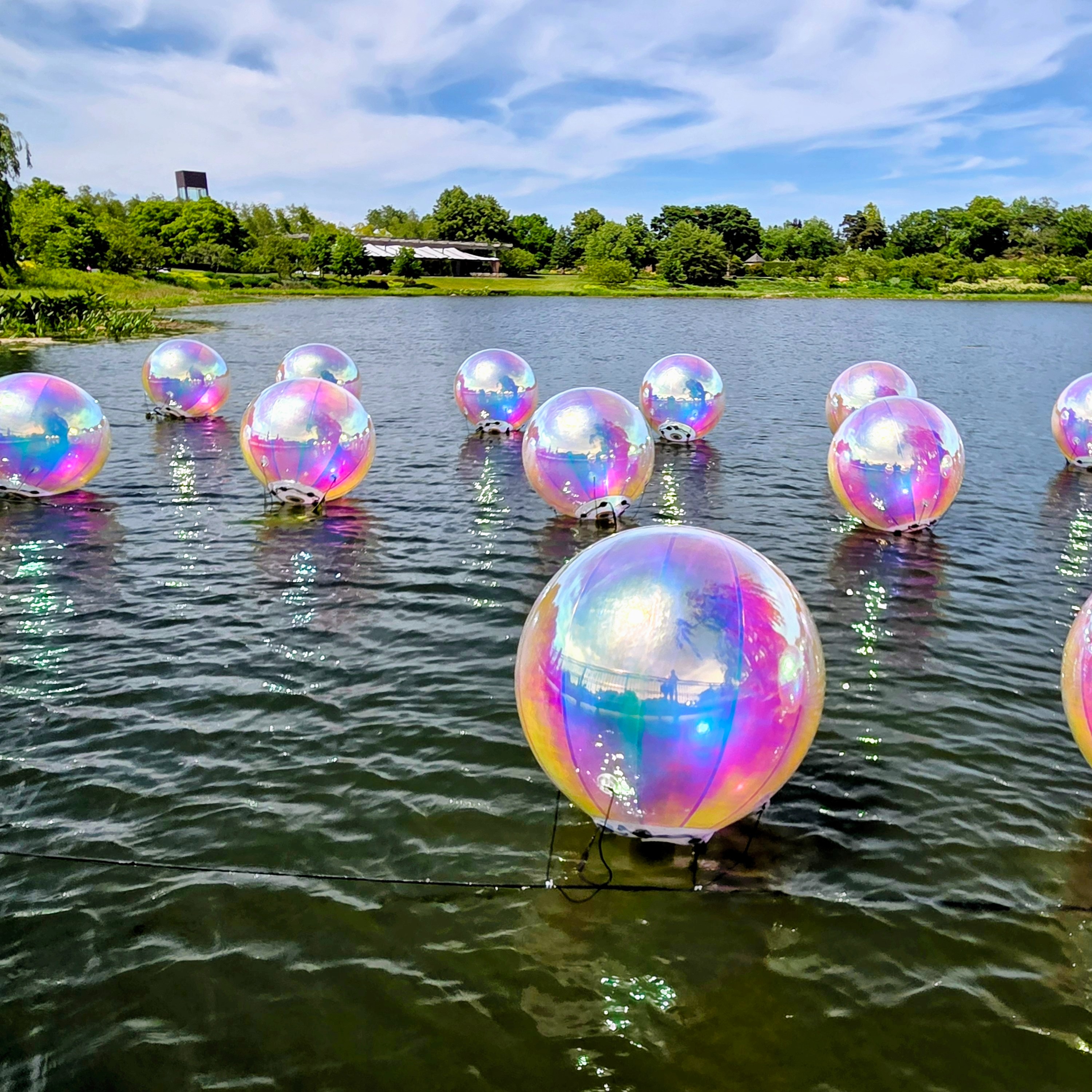 Shimmering Summer at Botanic Garden