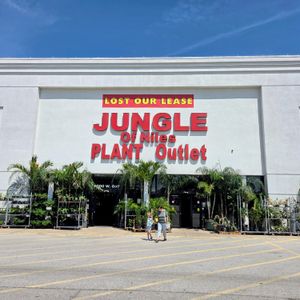 Suburban jungle must move
