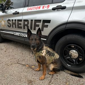 Cop loses dog after forgetting him in field