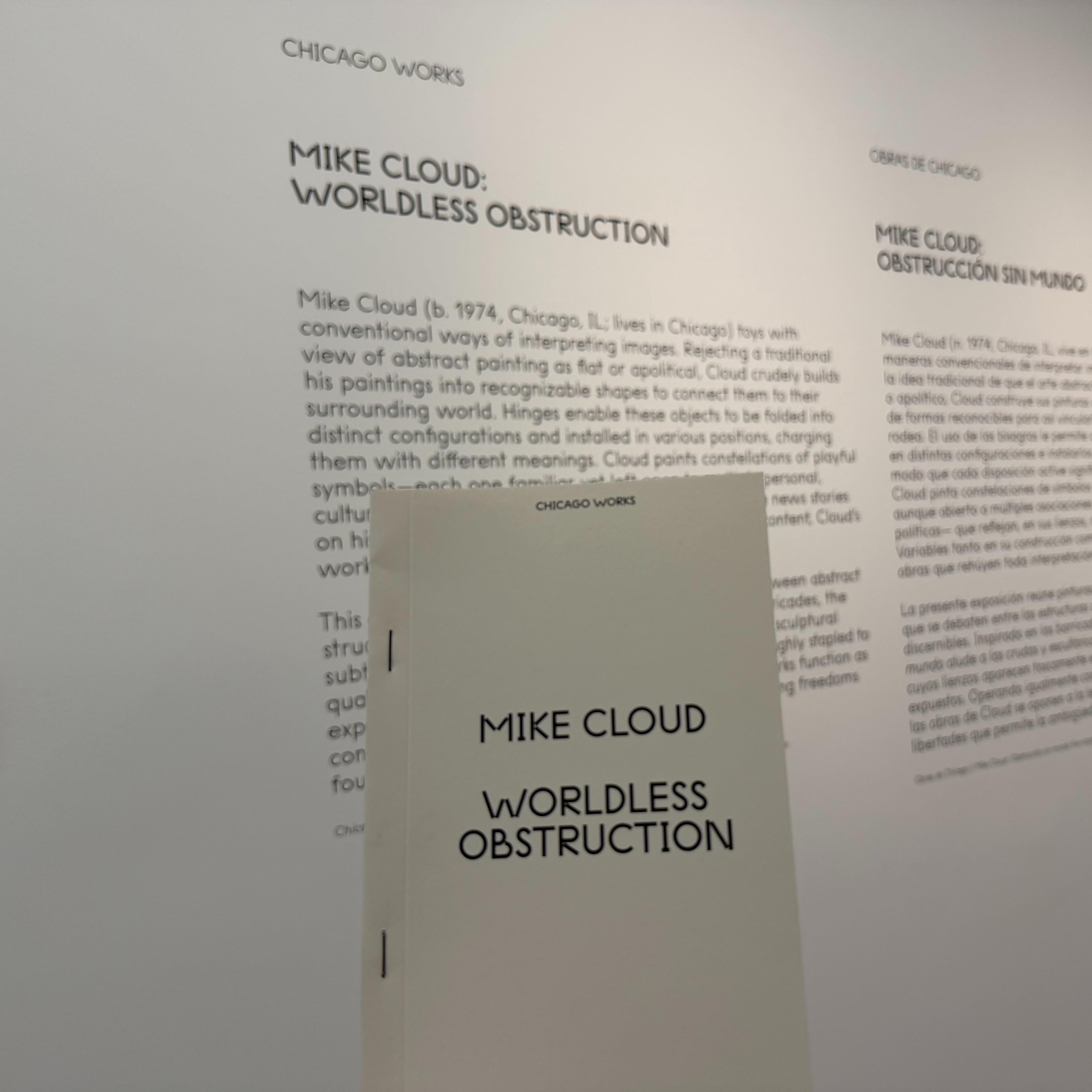 MCA announces latest exhibit in ongoing series highlighting local artists