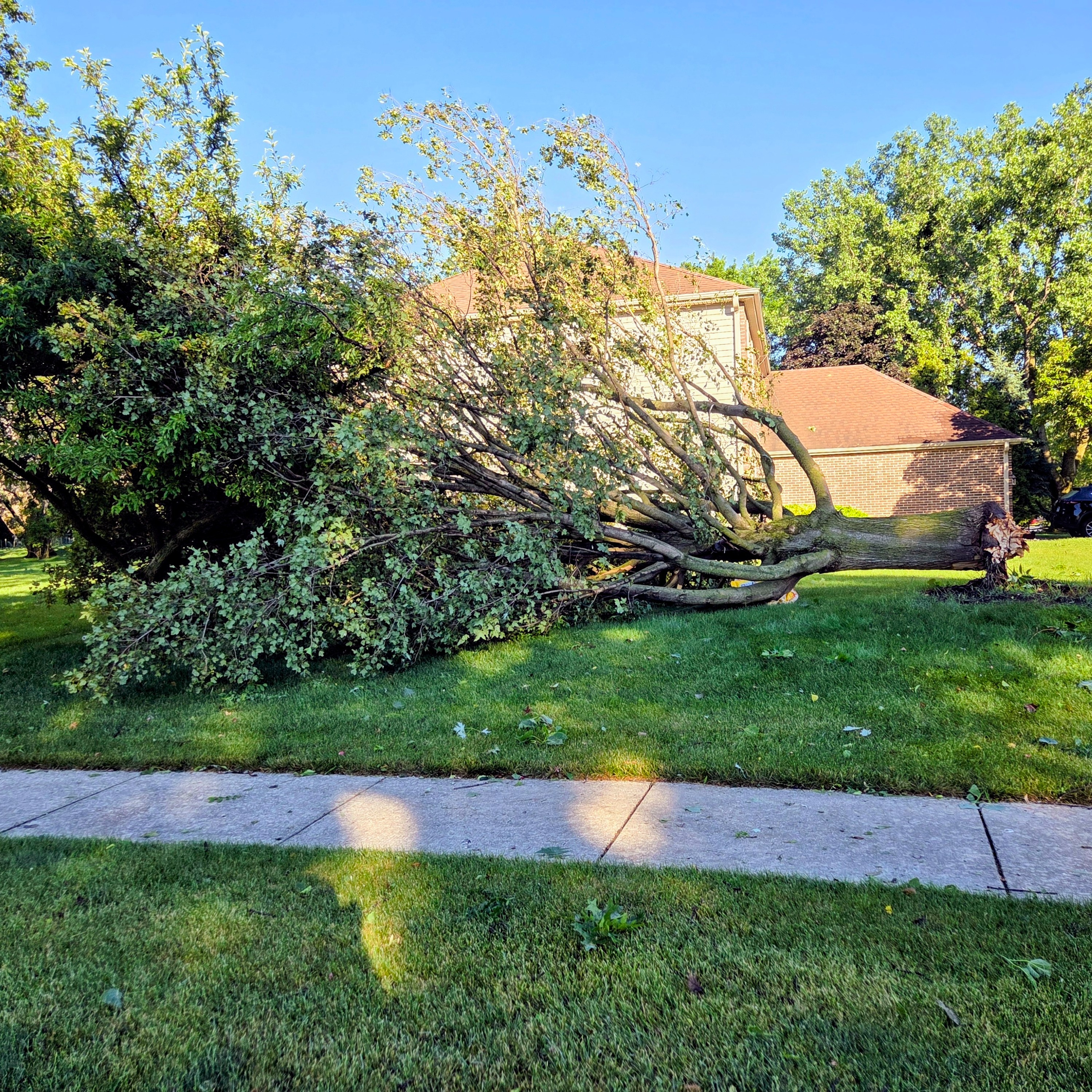 Cook extends storm cleanup help