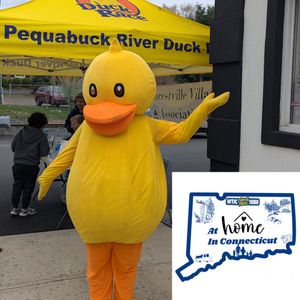 At Home IN CT 4-26-26