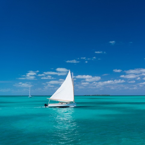 Husband of Michigan woman missing in the Bahamas in custody