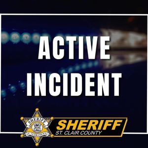 Shelter in place alert in Marine City caused by swatting incident