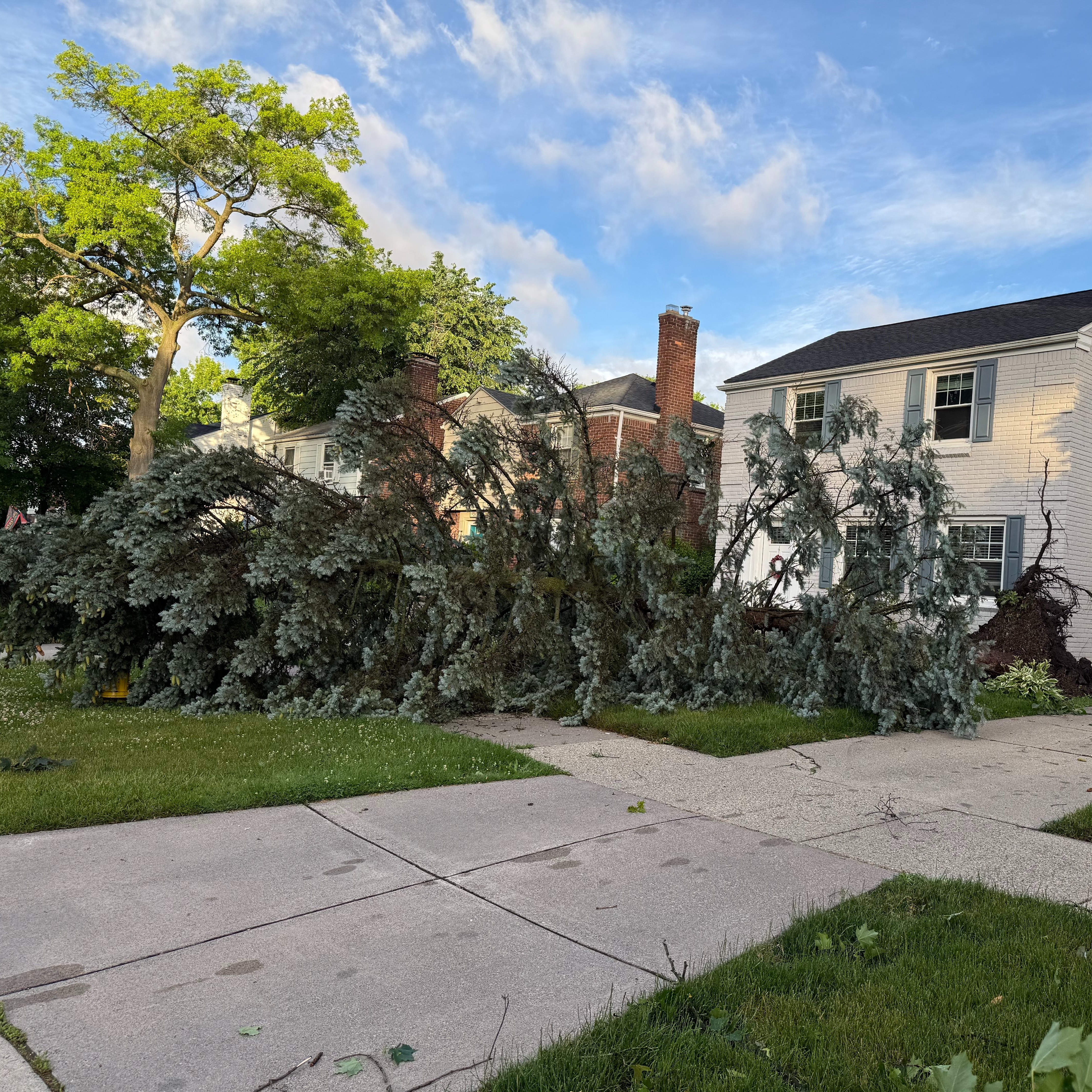 Early morning storms packing winds of 60 mph knock out power to thousands