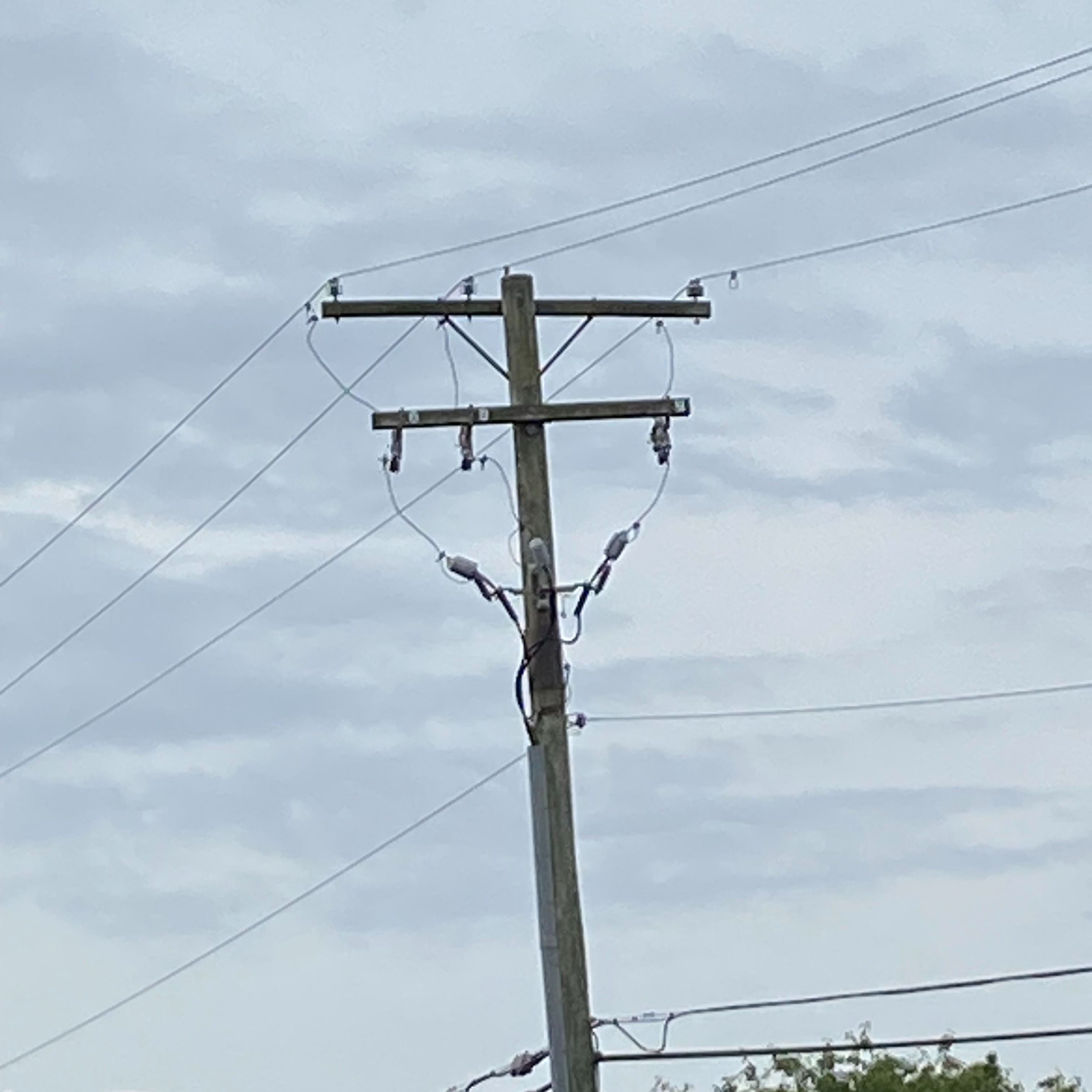 Ann Arbor residents to vote in November on new municipal electric utility