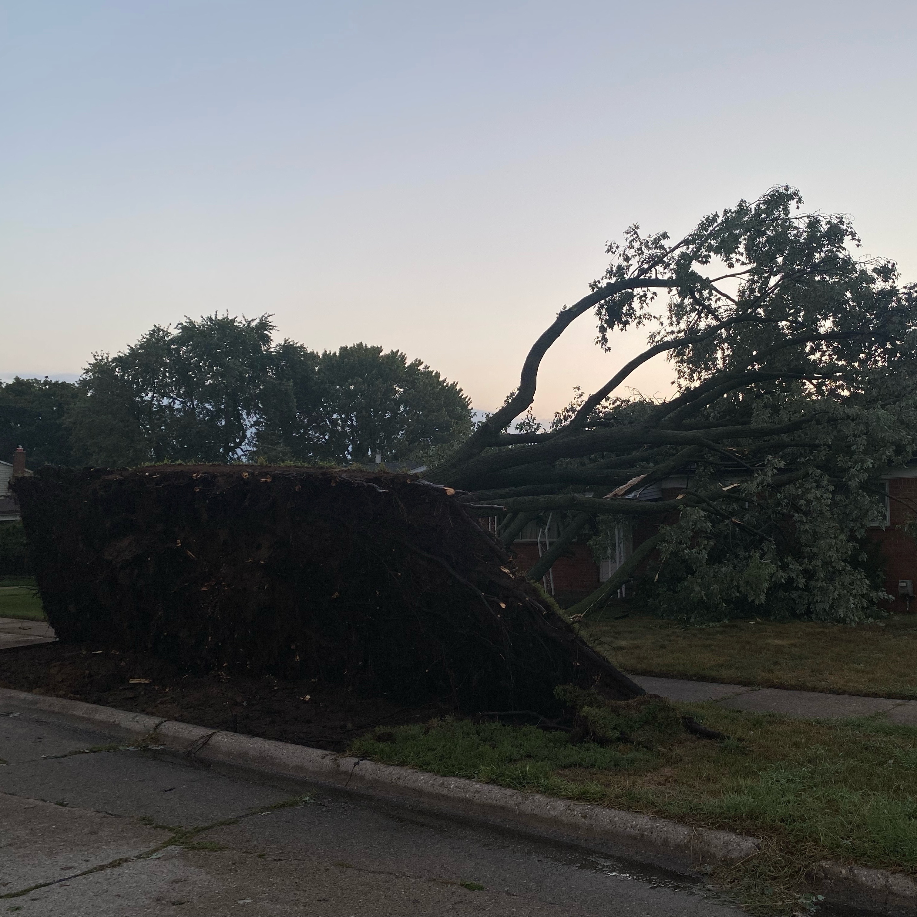 Storms packing winds up to 70 mph knock down trees, power lines