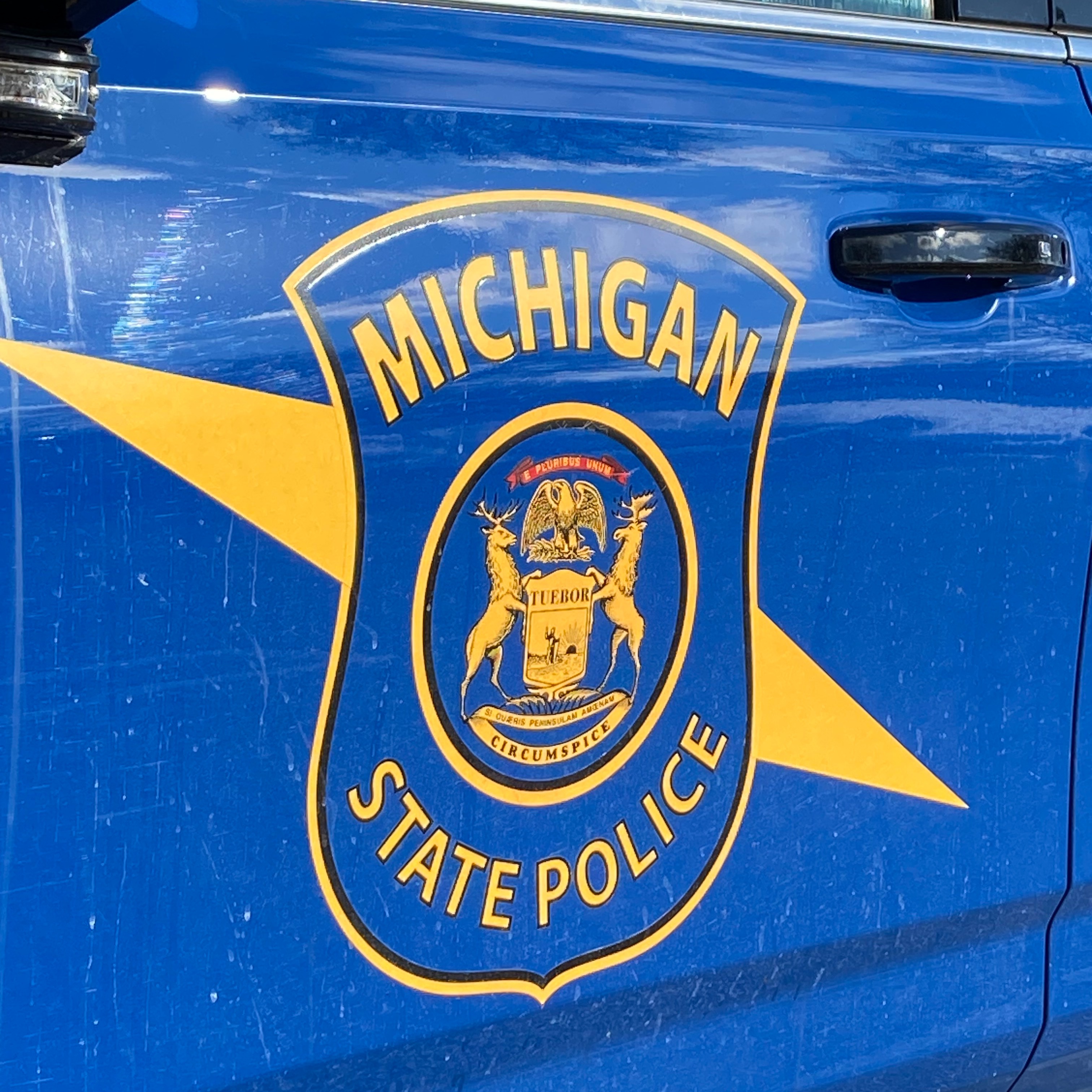 19-year old Good Samaritan hit, killed on Lodge Freeway in Southfield