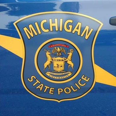 Man dies after he was hit by truck on I-96, was checking for damage after hitting deer