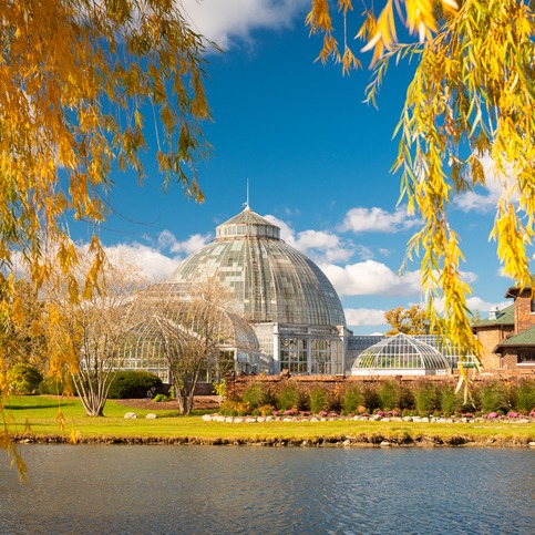313 Day celebration on Belle Isle