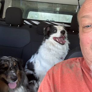 Livonia dog reunited with family after being shot by delivery driver