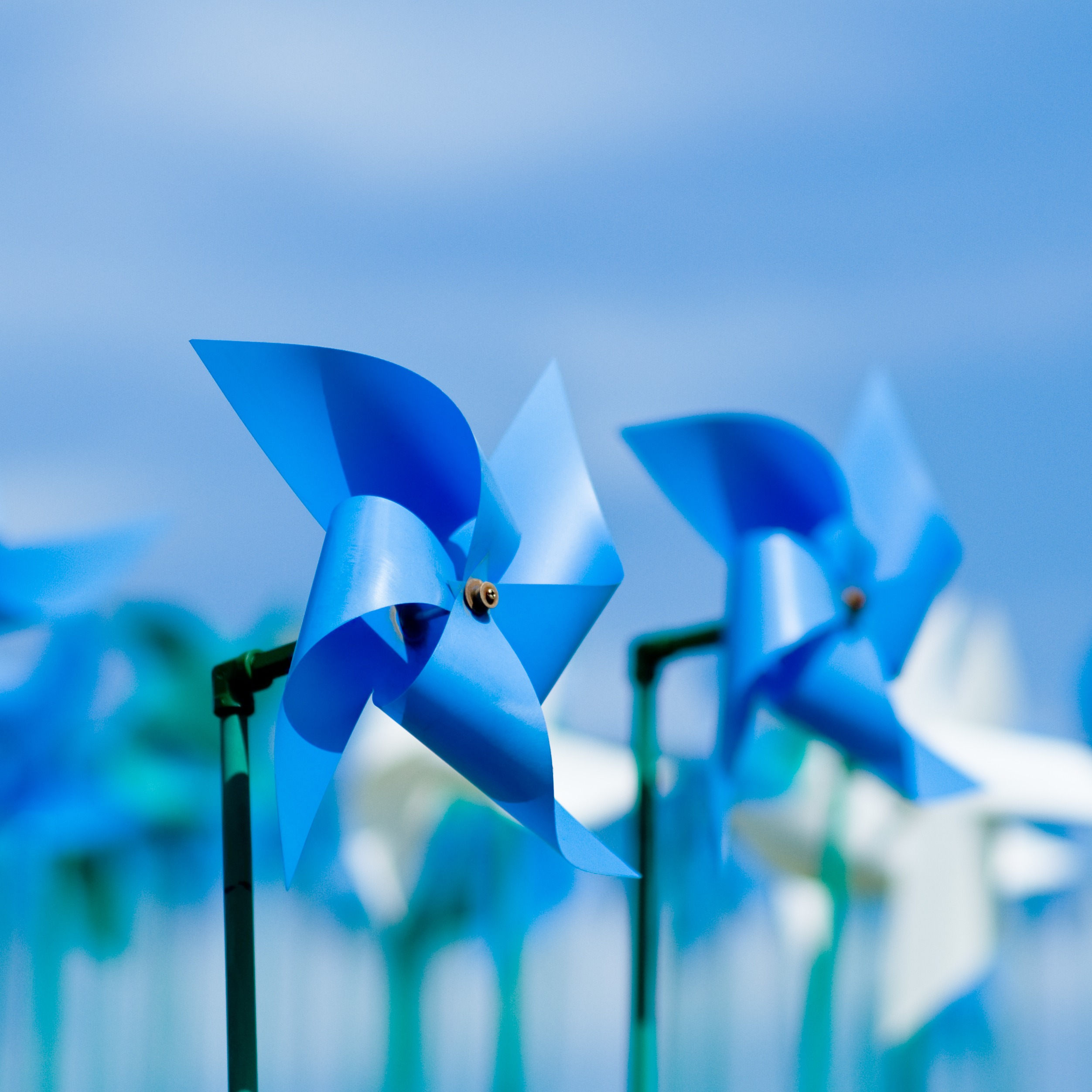 Pinwheel gardens spring up in Wayne County for Child Abuse Prevention Month