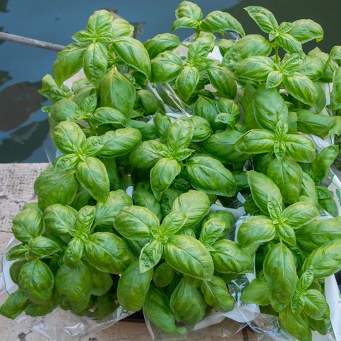 Farmington Farmers & Artisan Market, Riverfront Fish Fest, and more!