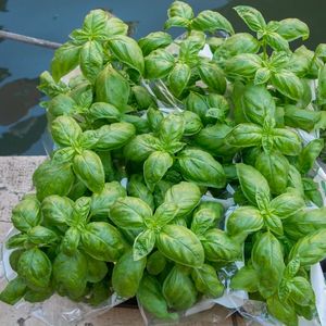 Farmington Farmers & Artisan Market, Riverfront Fish Fest, and more!