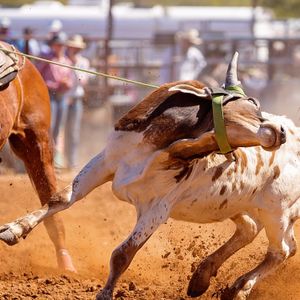 Motor City Rodeo riding into town this August