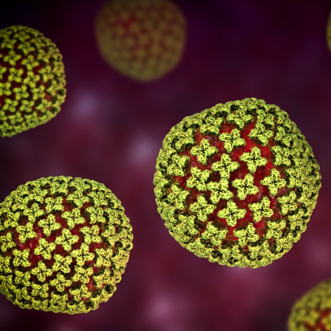 How much should Michiganders be worried about hantavirus?