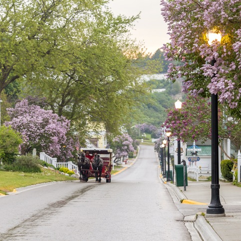 "Stop and Smell the Lilacs" with the Mackinac Island Lilac Festival