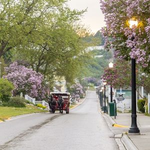 "Stop and Smell the Lilacs" with the Mackinac Island Lilac Festival