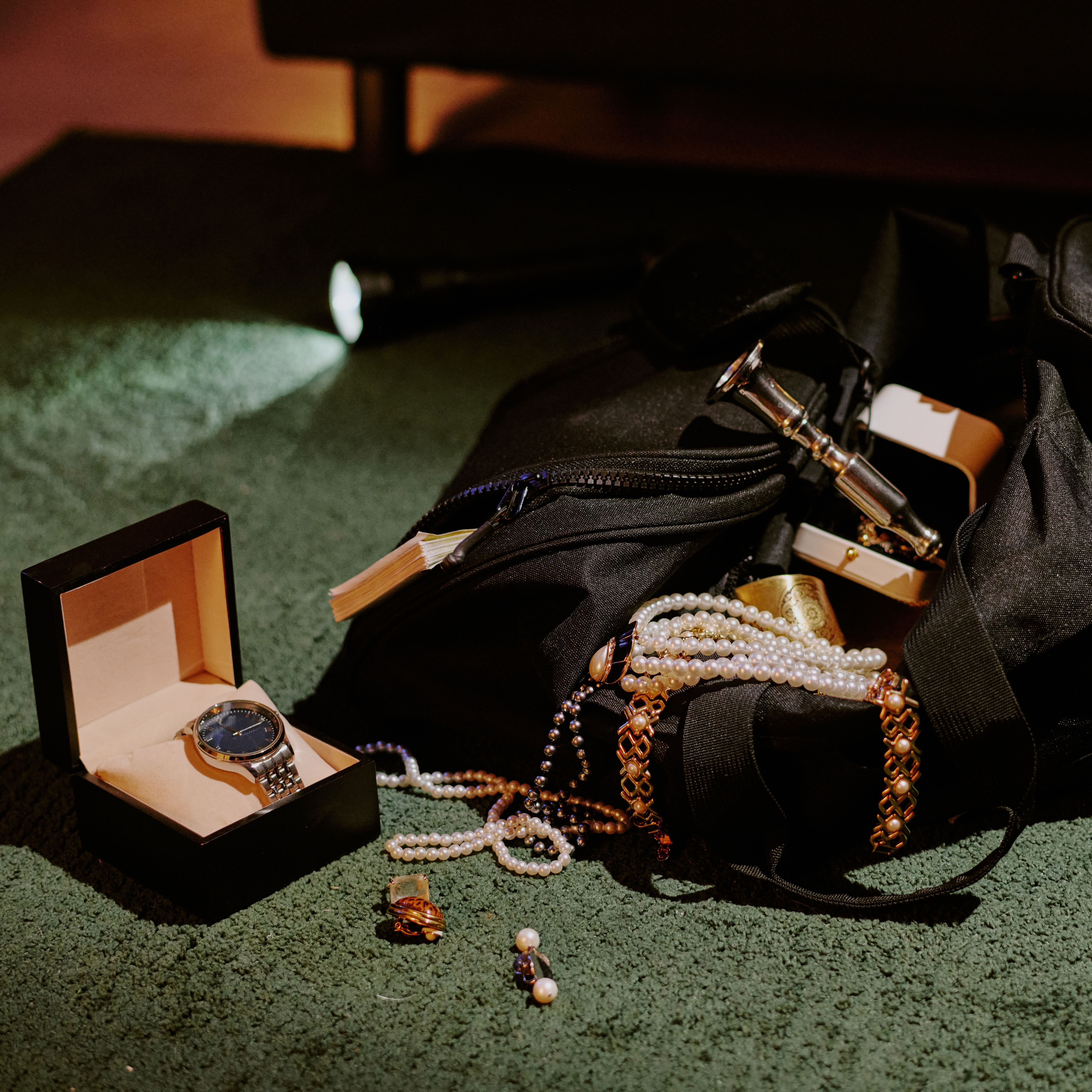 Can you solve Bloomfield Township's jewelry heist?