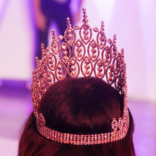 Miss Michigan 2026 is from Oakland County