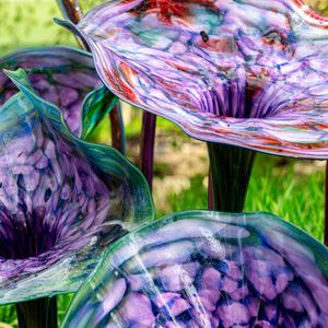 Chihuly at Meijer Gardens, a blown glass exhibit,  running now