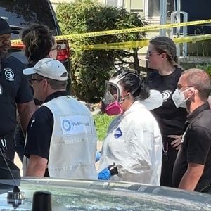 Cat traps set as rescuers return to "deplorable" Redford home