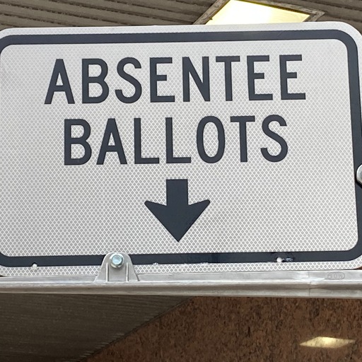 Michigan Primary Election: How to spoil your ballot